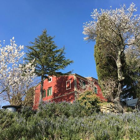 Piccola Casa Toscana Con Giardino Con Vista Mozzafiato Podere Cordicella Kültér fotó